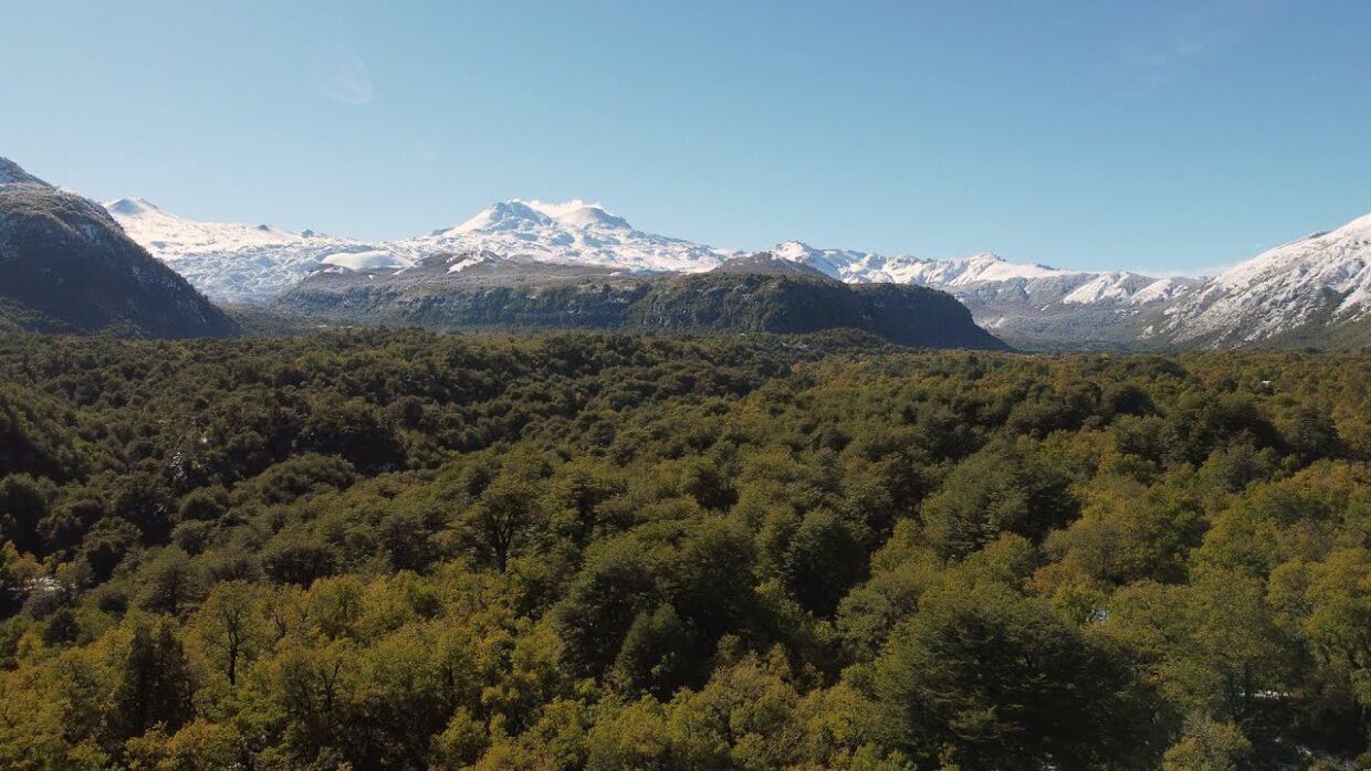 6 Cosas que deberías hacer en las trancas​