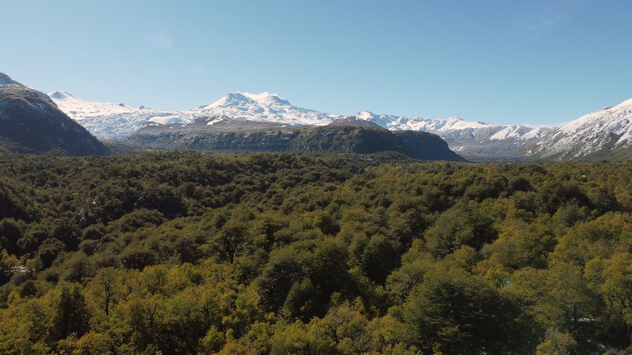 6 Cosas que deberías hacer en las trancas​